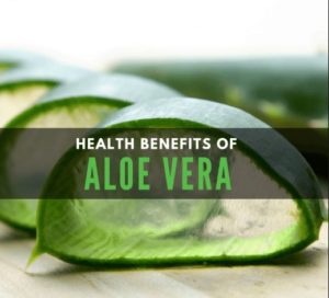 The Health Benefits Of Aloe Vera