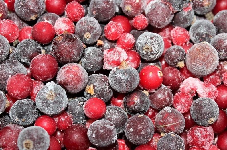 Can you Freeze Fresh Cranberries